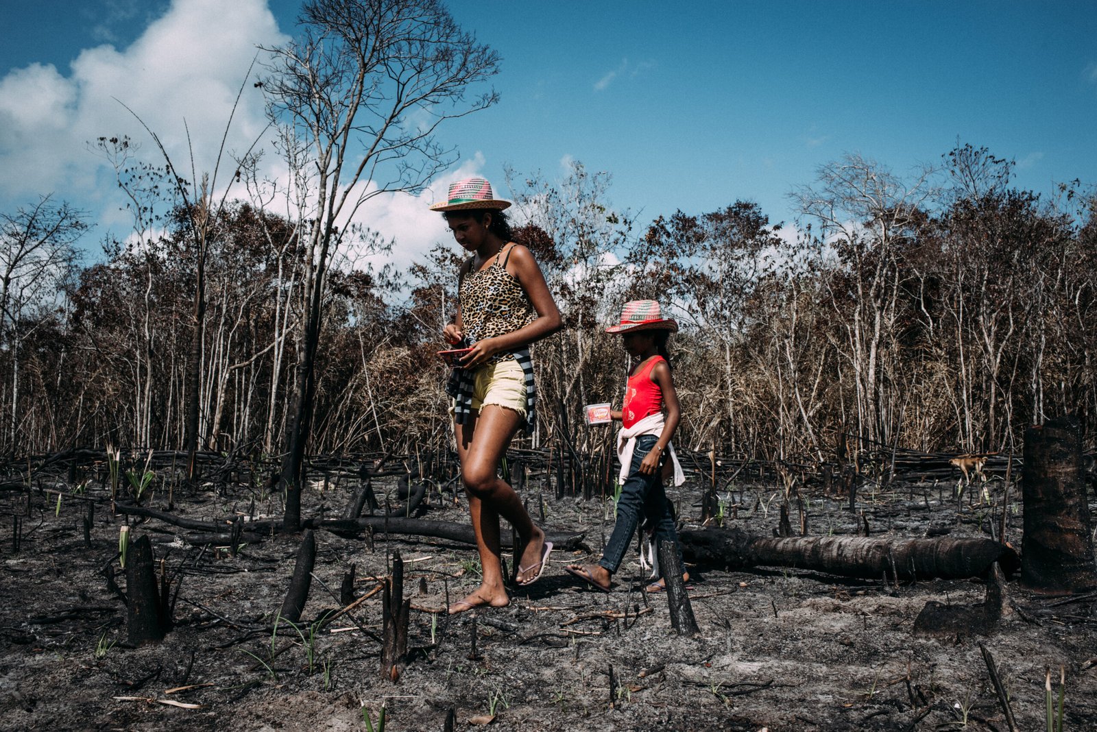 Crédito: Divulgação
