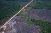 Orlando K Junior/Divulgação