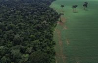 Fernando Frazão/Agência Brasil