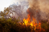 edital incendio