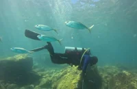 Fernando Frazão/Agência Brasil