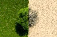 IStock Photo