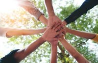 Istock Photo