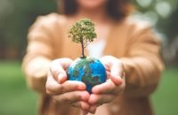 Istock Photo