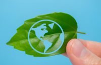 Istock Photo