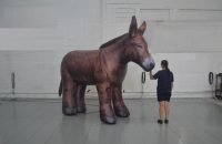 Foto ilustrativa do jumento inflável