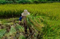 Ministério Público do Trabalho - Divulgação